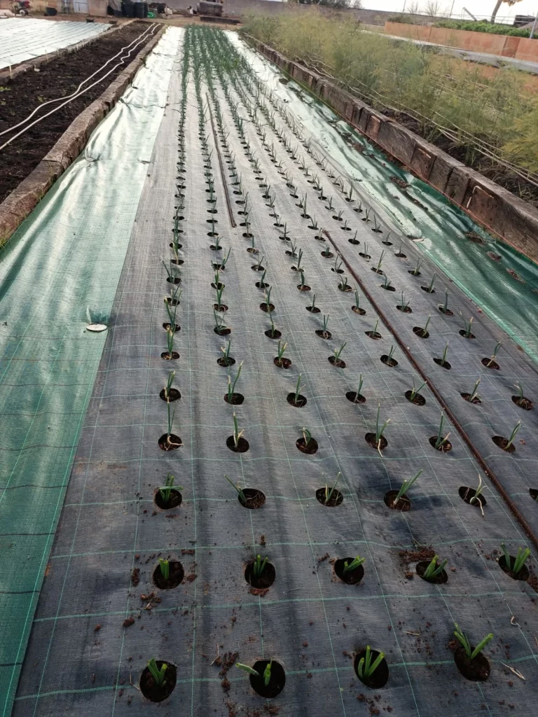 456b7cd5 1eaa 4579 9737 0775ccdc8c62